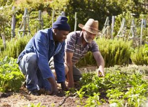 volunteers on a farm